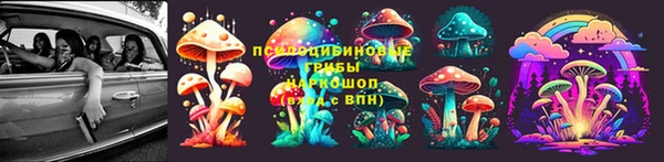 мяу мяу мука Кинешма