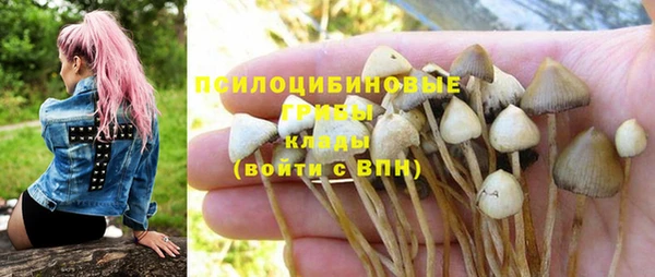метадон Киреевск