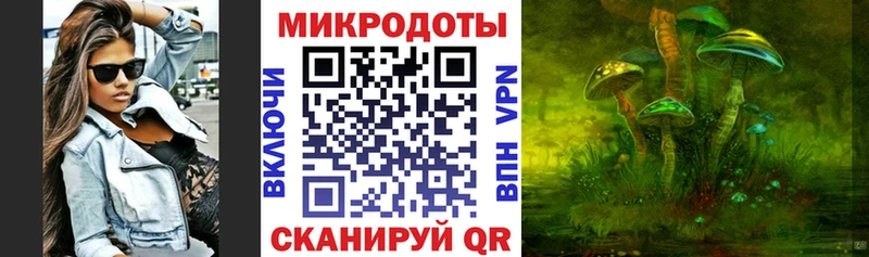Псилоцибиновые грибы Psilocybine cubensis  Купить где  Волоколамск 